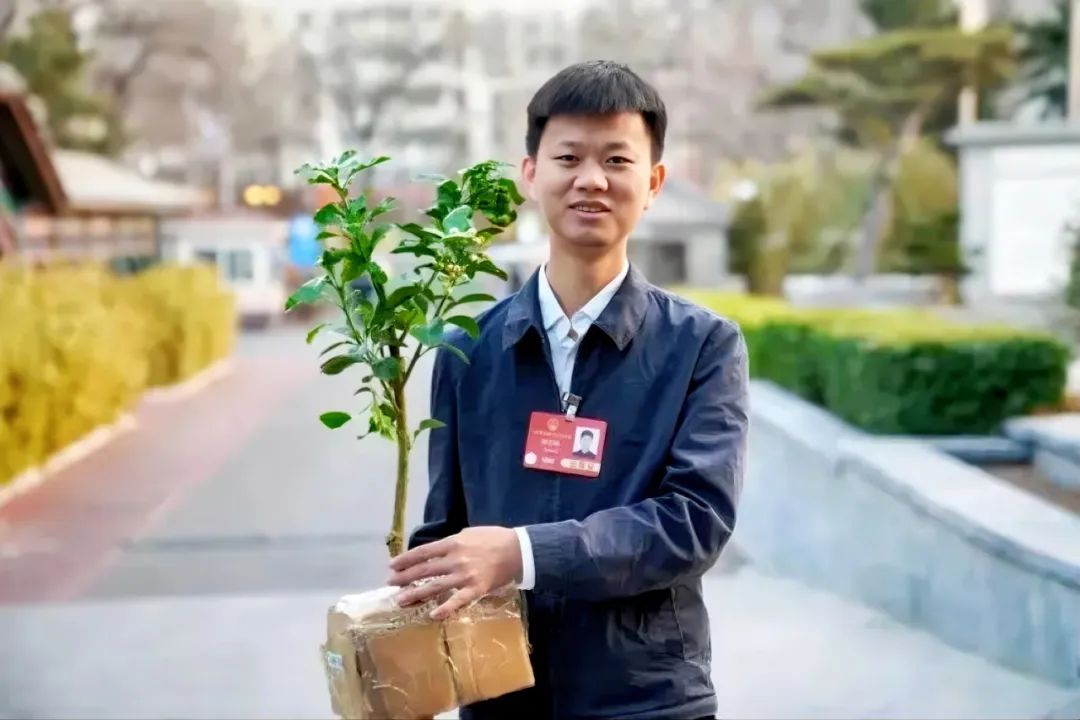 詳1